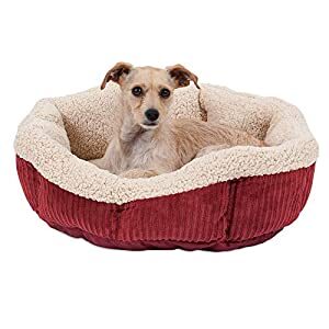 Aspen Pet Self-warming dog bed