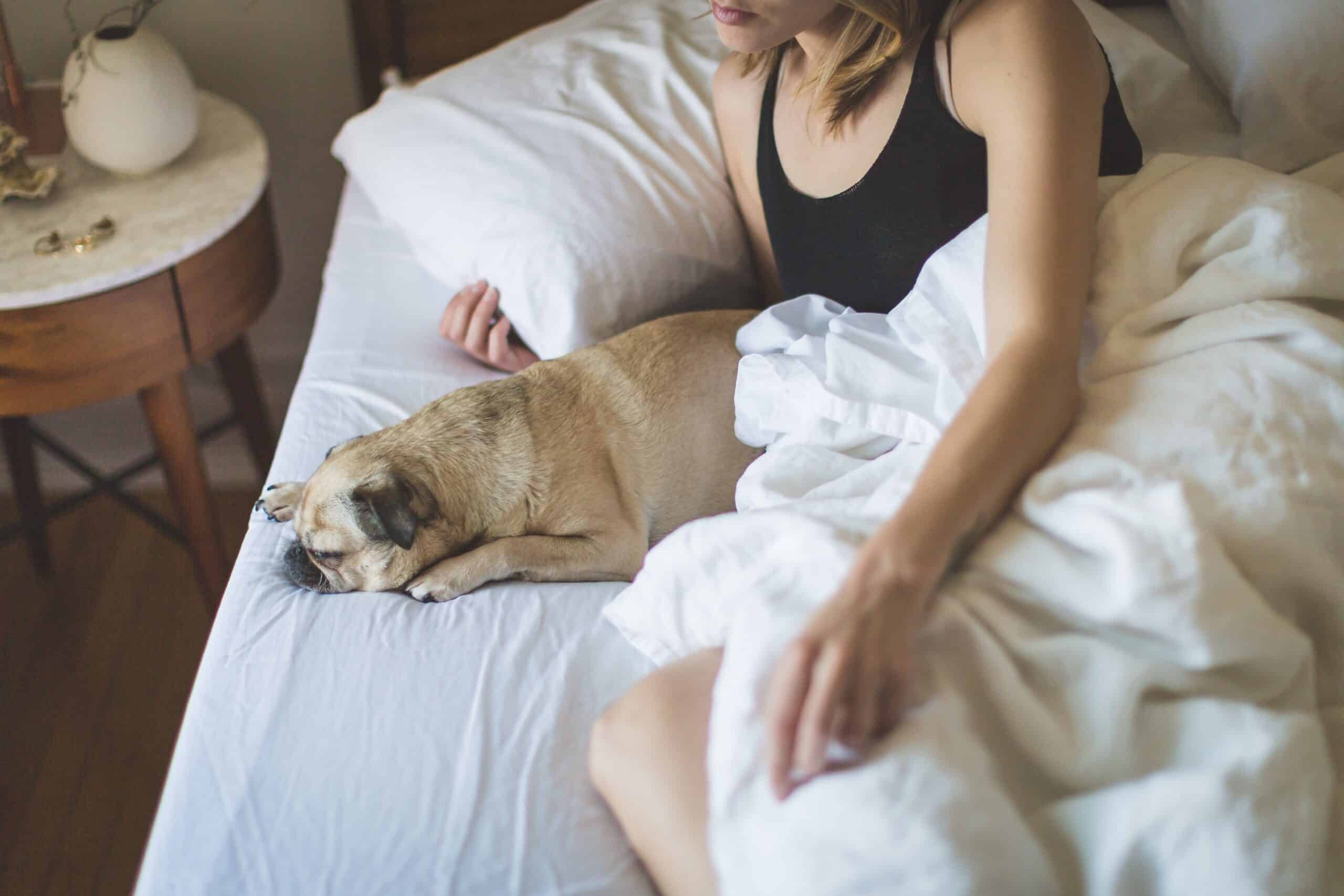 woman and dog on bed
