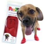 Dog paws boots