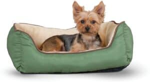 self warming small dog bed