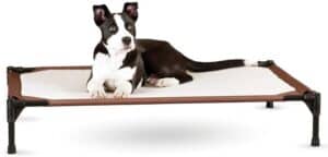 Elevated self warming dog bed