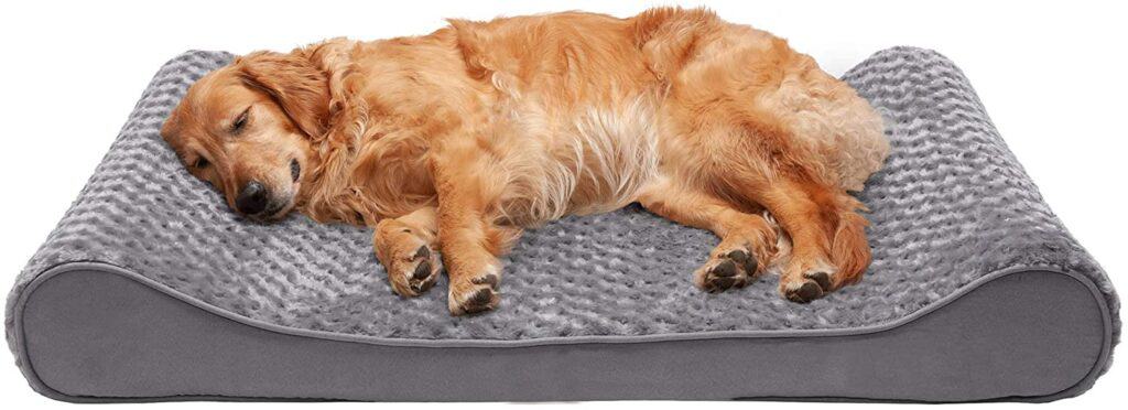 Dog sleeping on a Furhaven Pet Bed