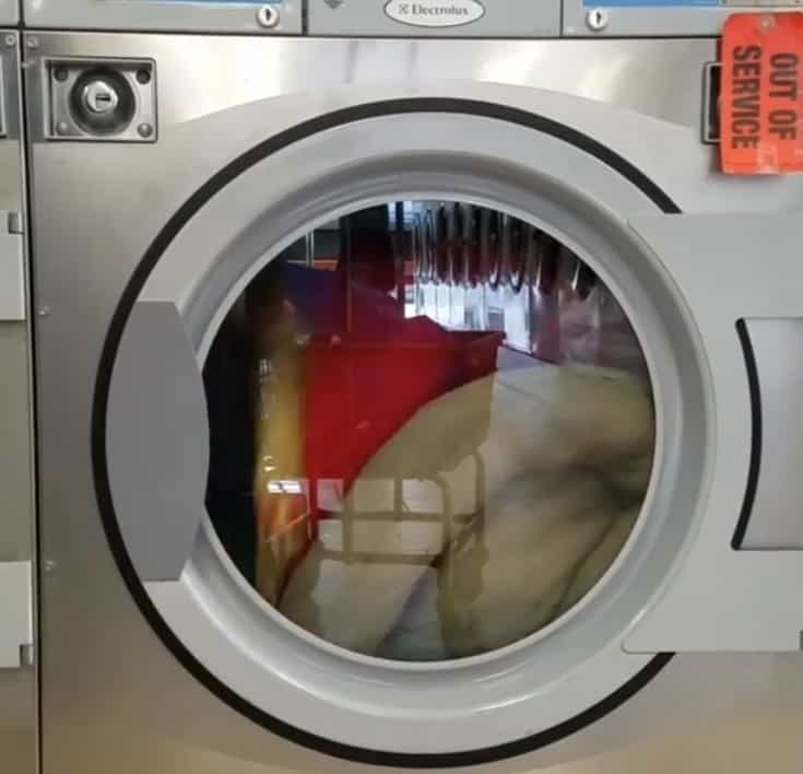 how to wash a dog bed in the washing machine