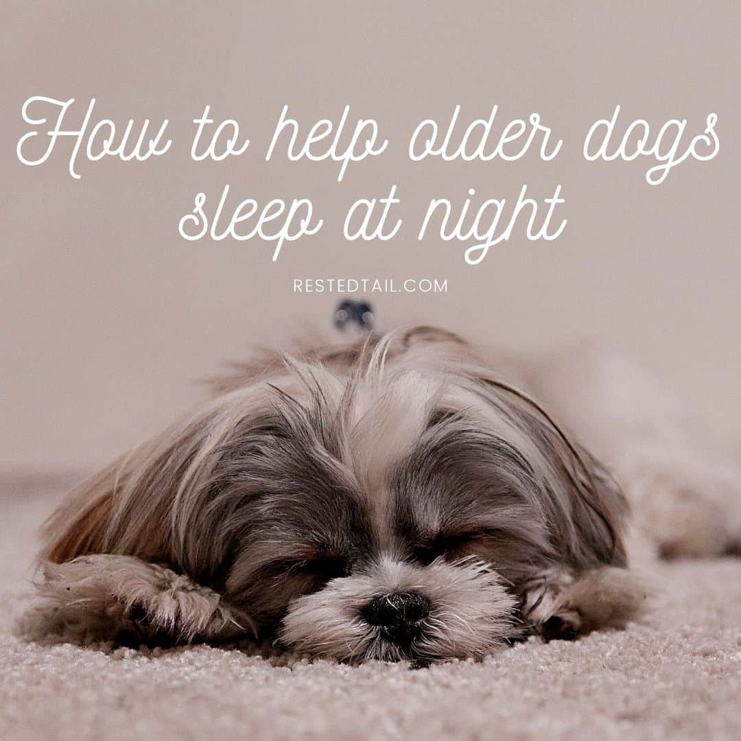 help older dogs sleep at night