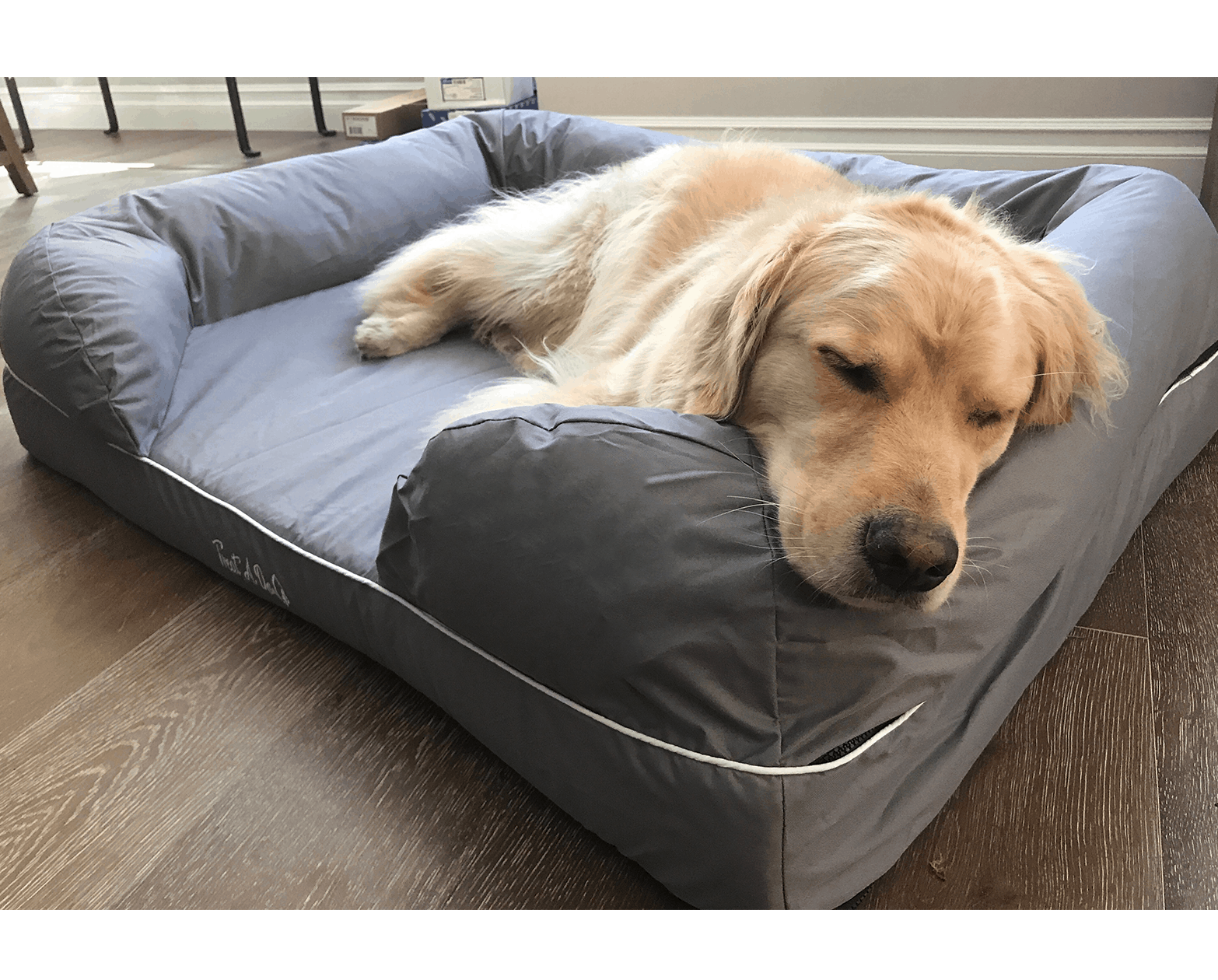 golden retriever sleeping in dog bed