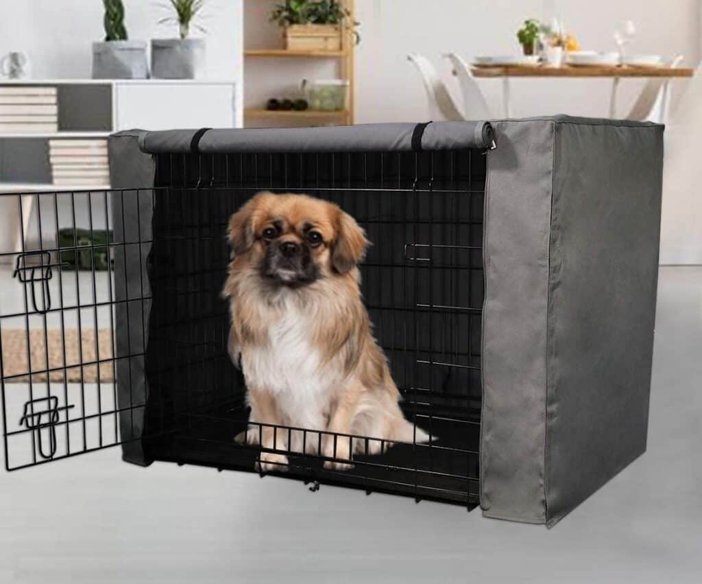 dog being good in his crate