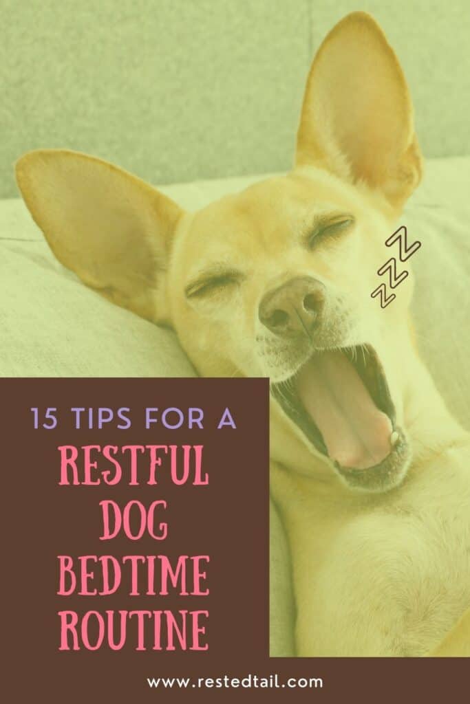 dog bedtime routine2