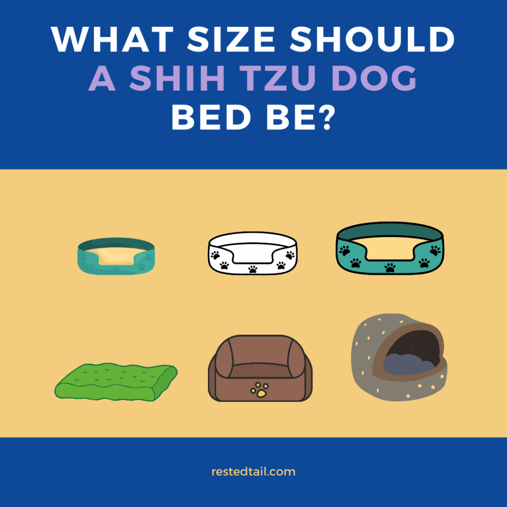 What size should a Shih Tzu dog bed be