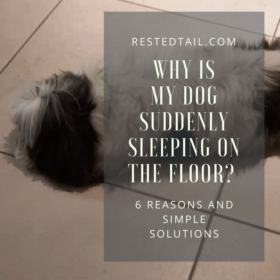 why is my dog suddenly sleeping on the floor