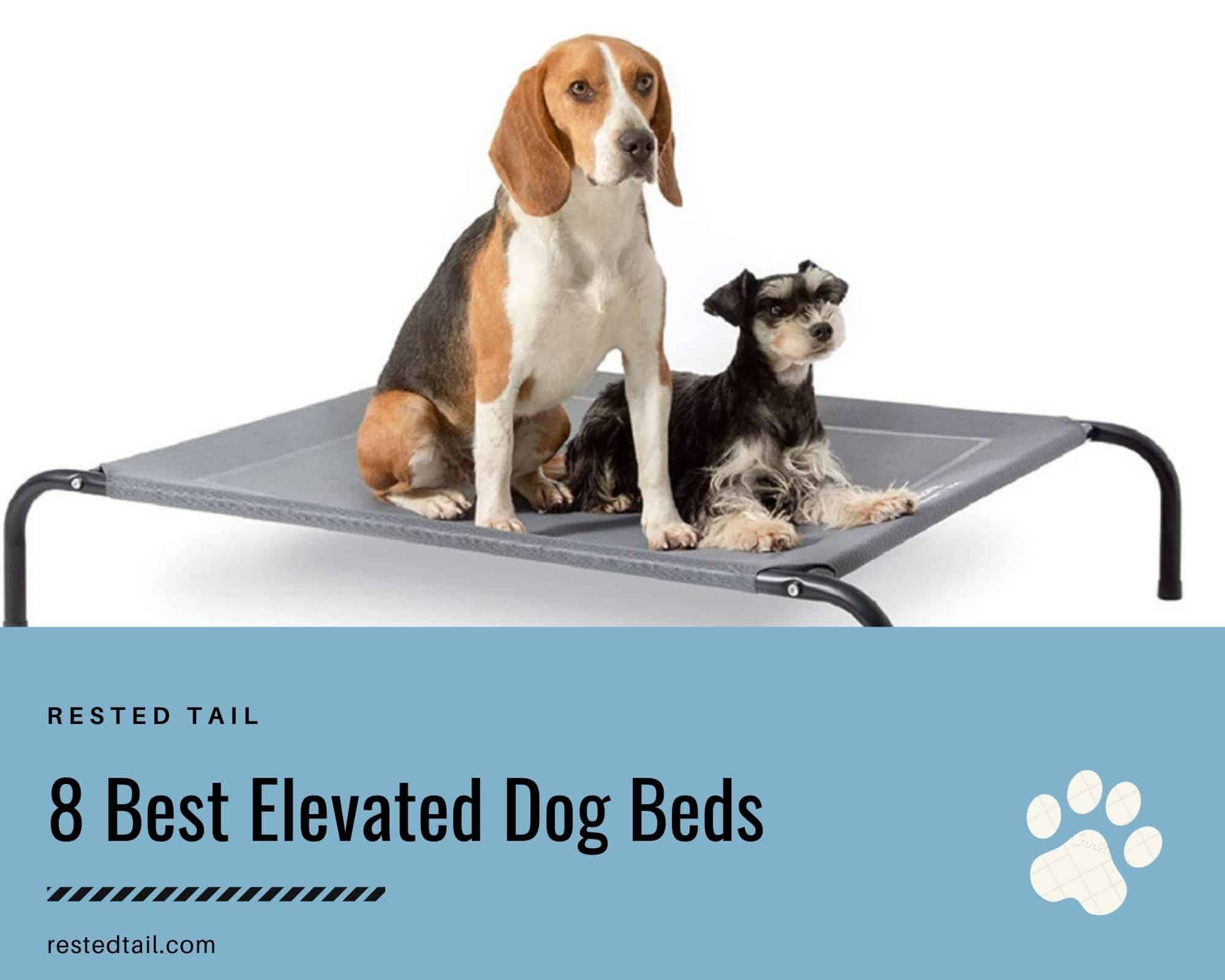 Elevated dog beds
