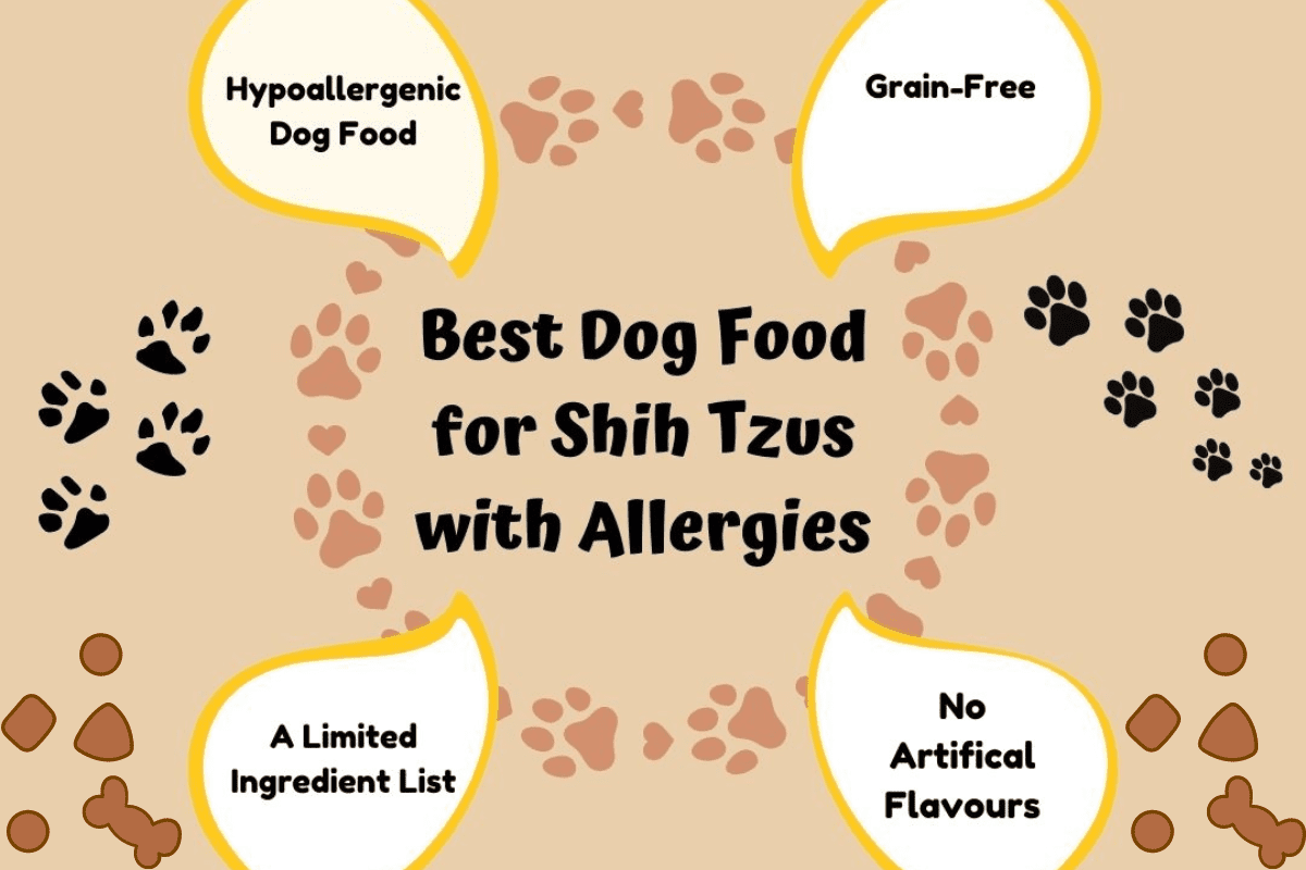 Dog food blog
