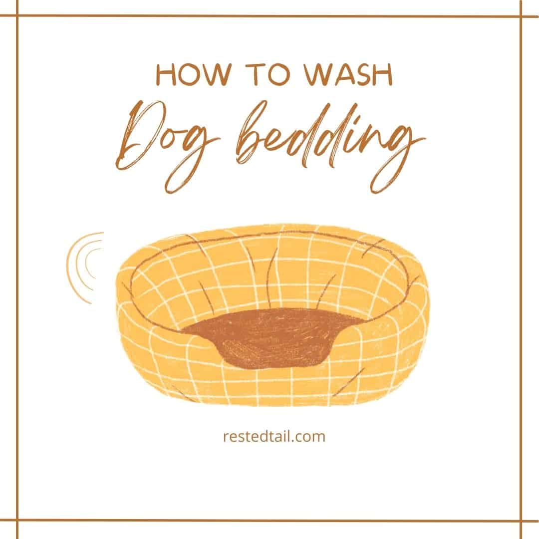 How to wash dog bedding blog
