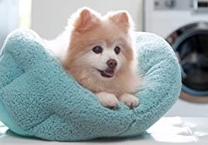 Best friend dog bed