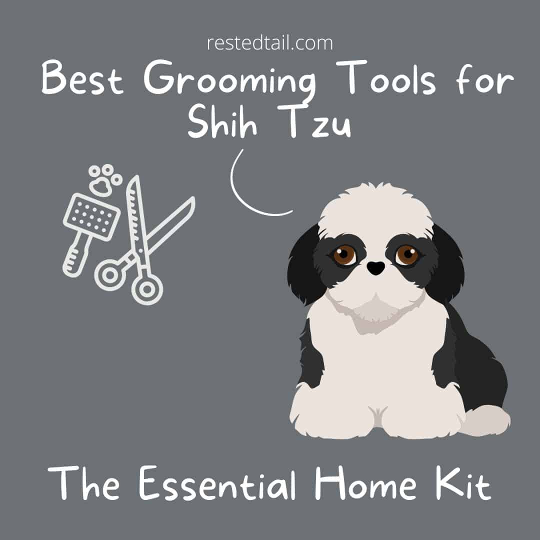 Grooming tools for Shih Tzu
