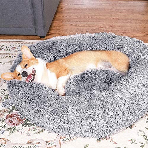 dog sleeping in his bed