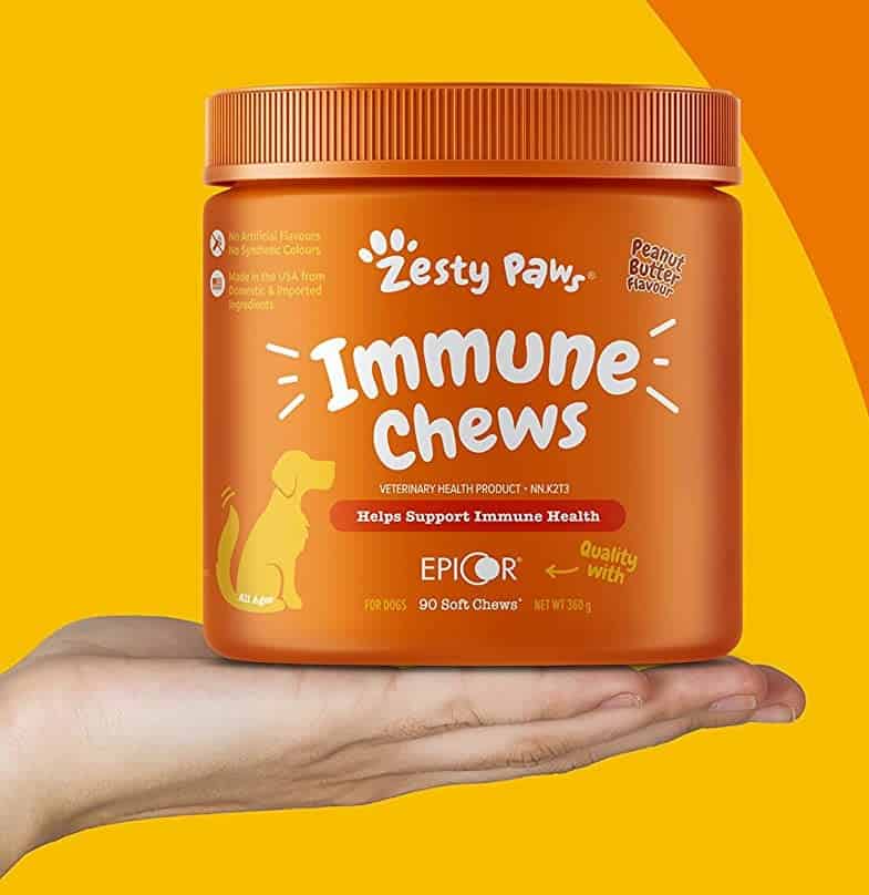Immune chews
