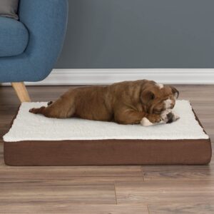 Dog with separation anxiety sleeping on  a flat bed