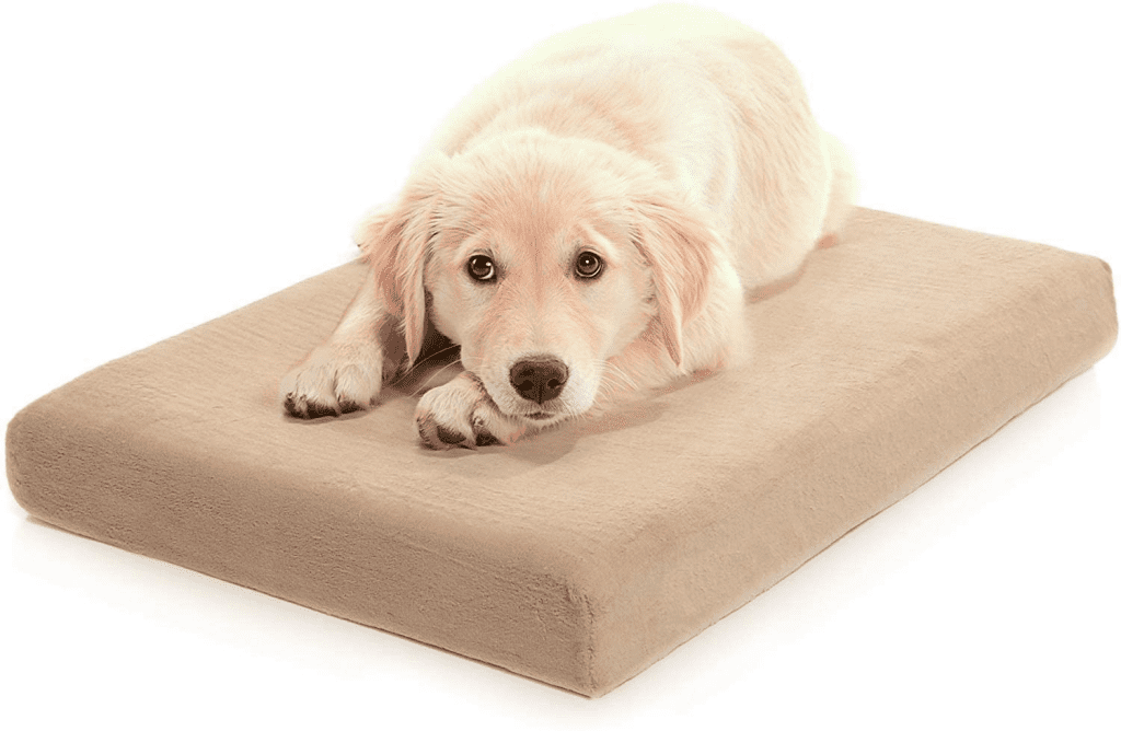 Memory foam dog bed for separation anxiety