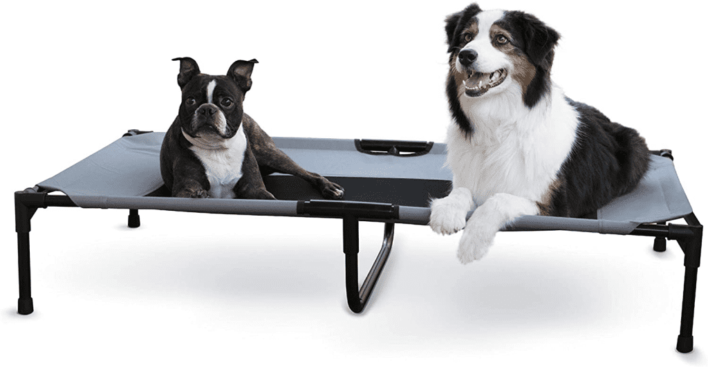2 dogs sitting on an elevated dog bed
