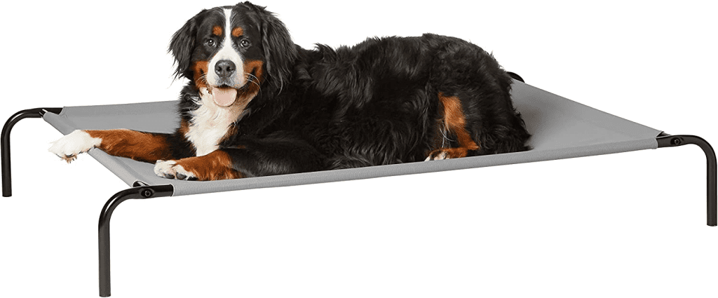 Large breed on an Elevated dog bed