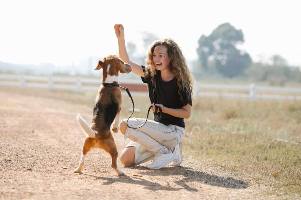 Dog training on leash
