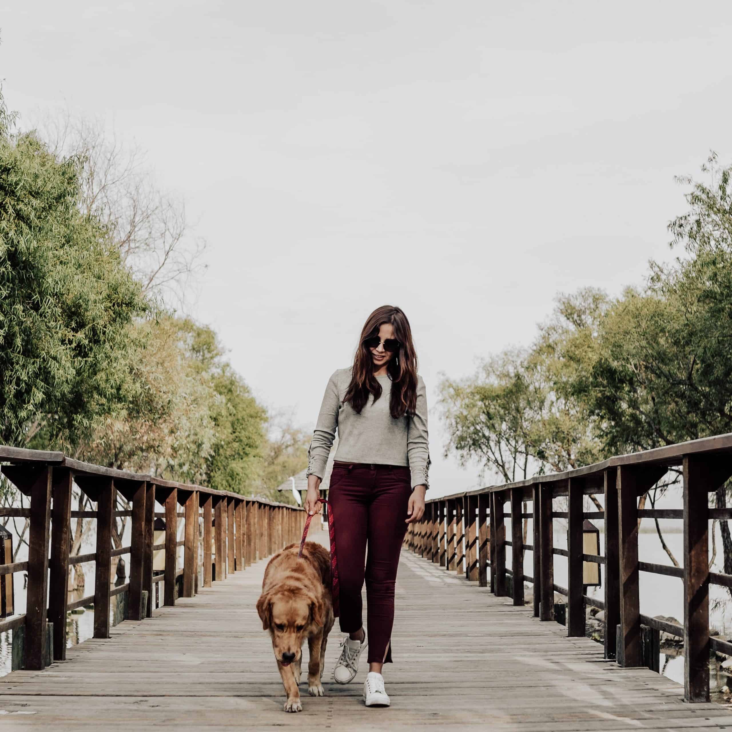 Girl walking a dog on a wooden bridge